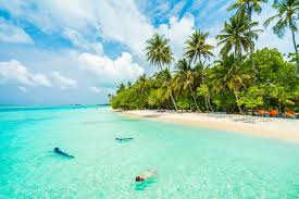 Golden Triangle With Goa