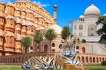 Golden Triangle Tour with Ranthambore 5 Nights 6 Days: